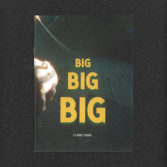 Big Big Big by Claire Evans