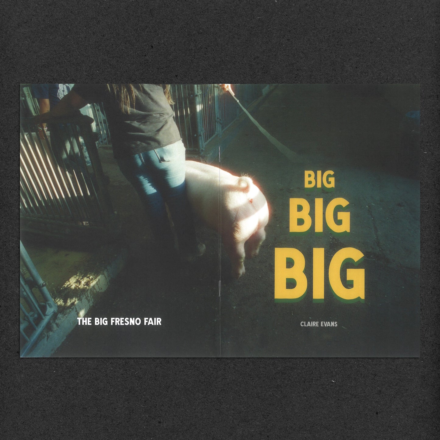 Big Big Big by Claire Evans